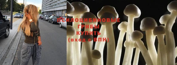 Альфа ПВП Медногорск