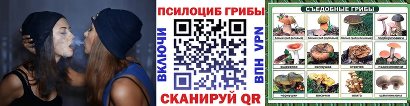 Псилоцибиновые грибы прущие грибы  Купить где  Иланский 